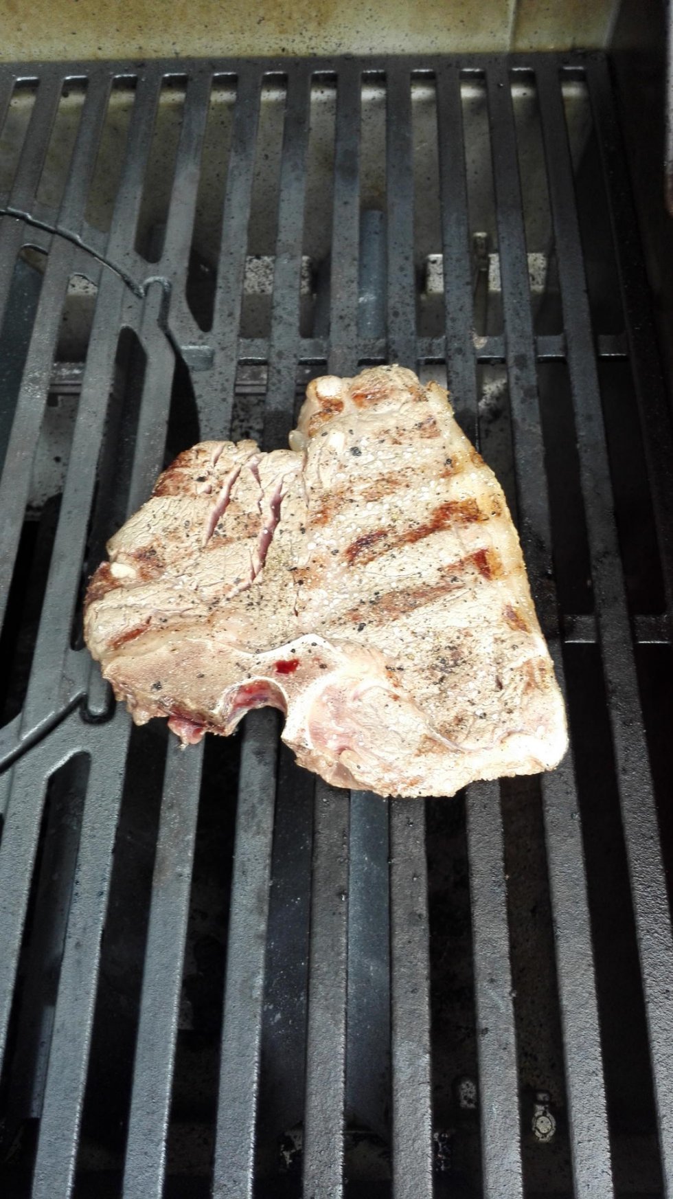 TEST: Steaks til grillen