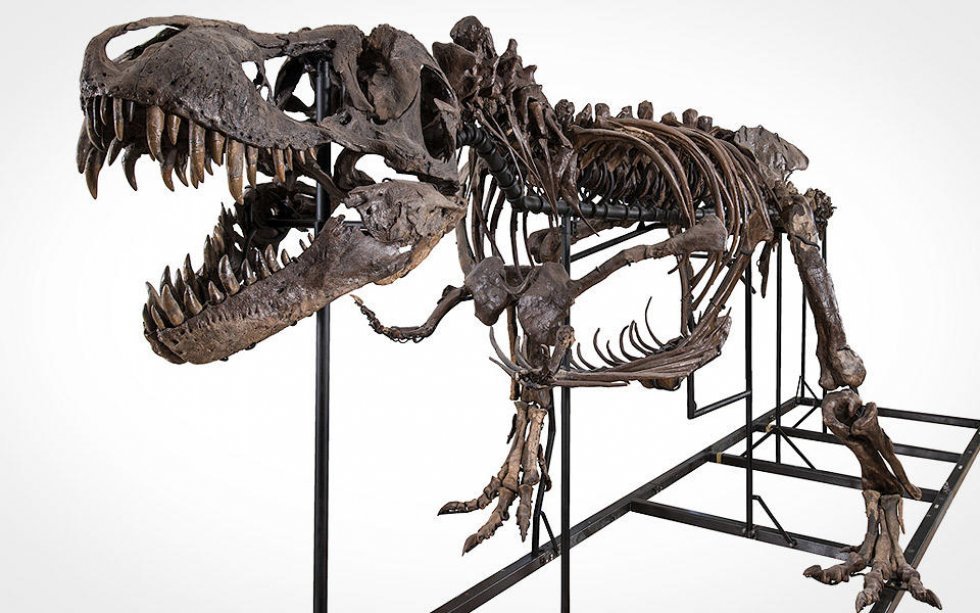 Nu kan du eje en T-Rex, men prisskiltet er direkte livsfarligt