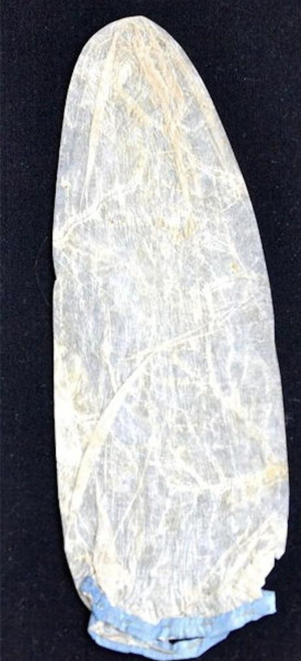 Se billedet: 200 år gammelt kondom solgt på auktion