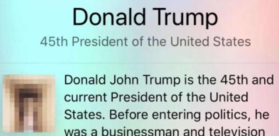 Hacker udskiftede Trumps billede på Wikipedia med en penis henover Thanksgiving