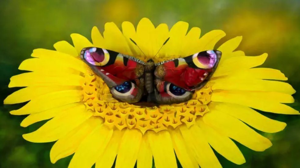 Nøgenmodel poserer som sommerfugl i hjernesmeltende optisk illusion