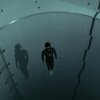 Y40 jump: Guillaume Néry explores the deepest pool in the world - Se en fridykker tage den farlige tur til bunden af verdens dybeste pool