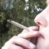 Stort studie afslører: Det sker der når du ryger meget cannabis 