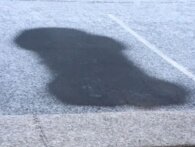 Kvinde i USA har fået en bøde, efter hendes bil efterlod aftryk i sneen, der lignede en penis