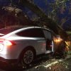 Foto: Mirror - Tesla reddede otte liv under stormen Dennis