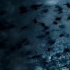 Glem Sharknado: En ny kogerfilm om edderkopper i tornadoer er på vej, Arachnado