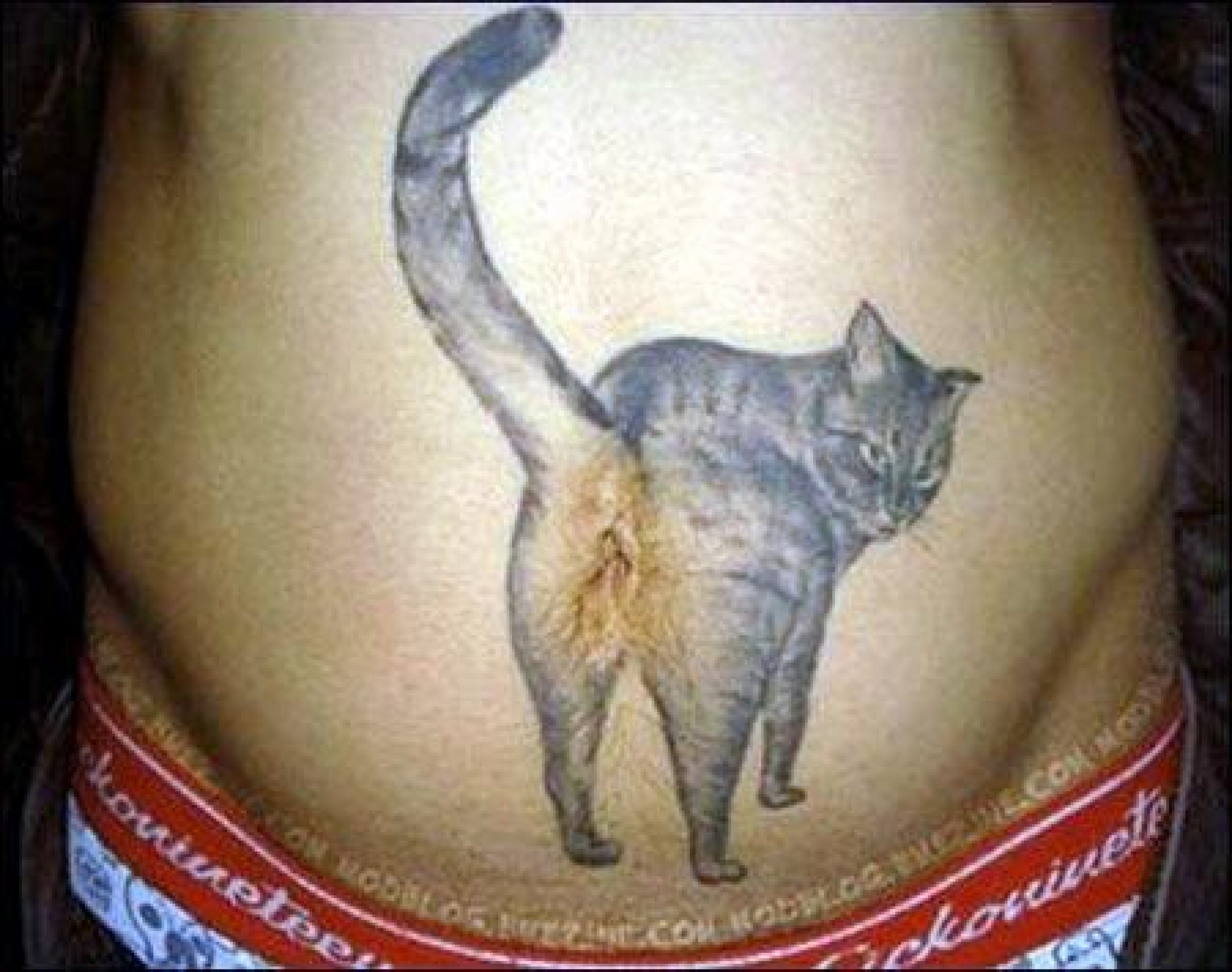 Татуировка кошка на животе