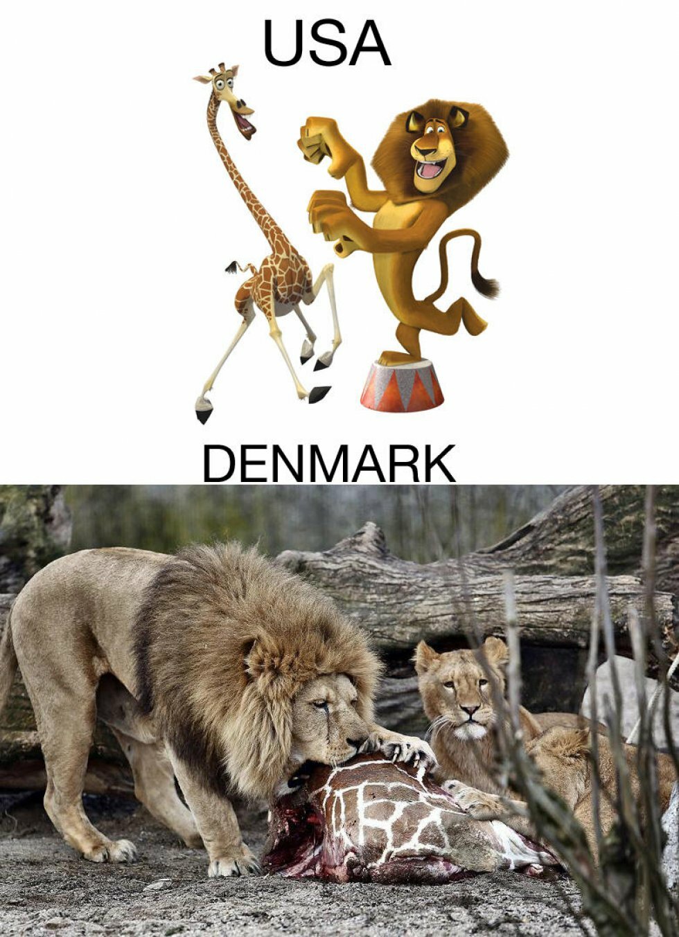 <3 Danmark