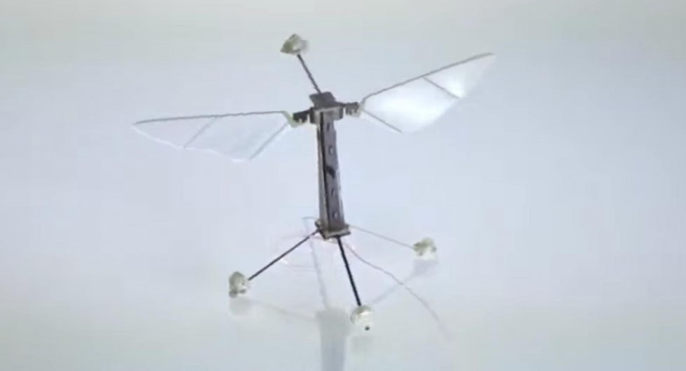  Denne robot-bi vil snart sværme rundt og udspionere dig
