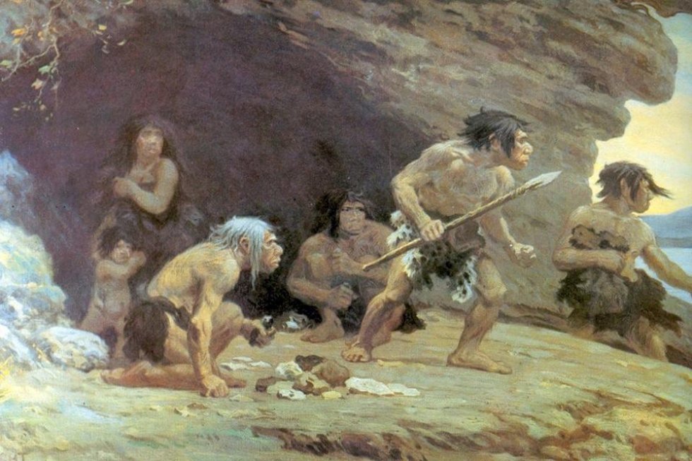 Knogle-rester afslører: Neandertalerne var kannibaler