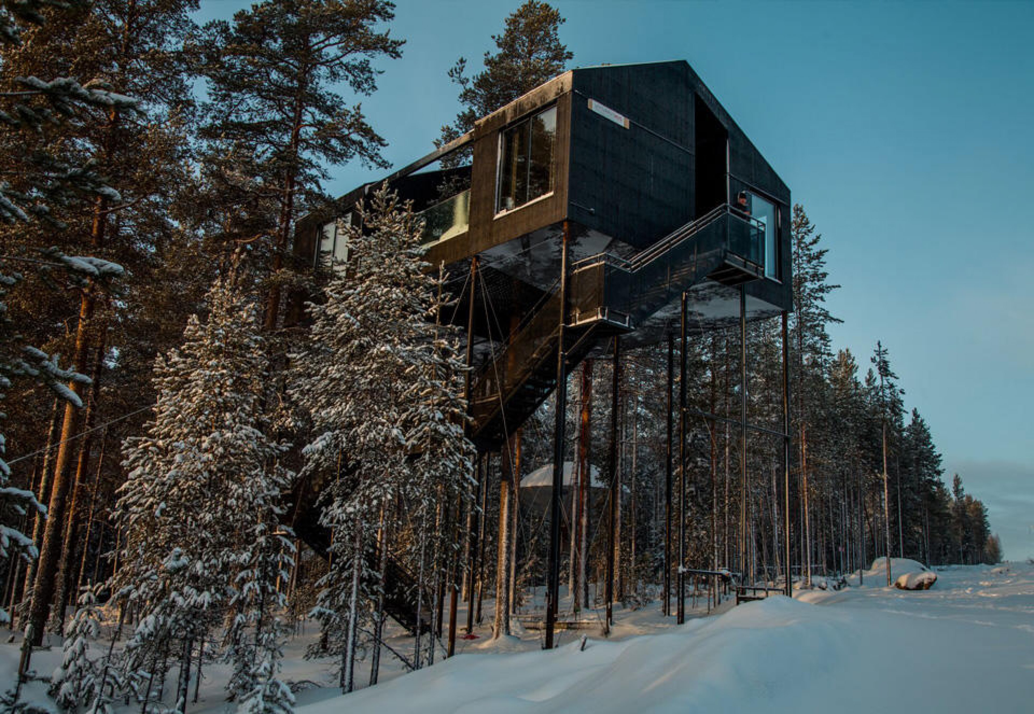 Среди домов. Гостиница на дереве, Швеция (Treehotel). Эко отель Treehotel в Швеции. Treehotel Швеция Стрекоза. Отель на дереве Tree Hotel, Швеция.