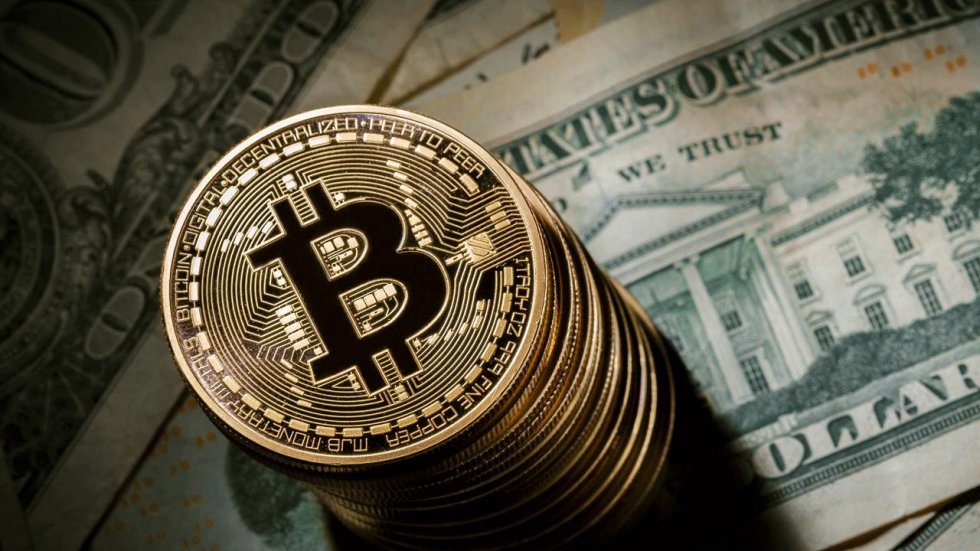 Overraskende sammenhæng mellem Bitcoin-søgninger og Bitcoin-kursen