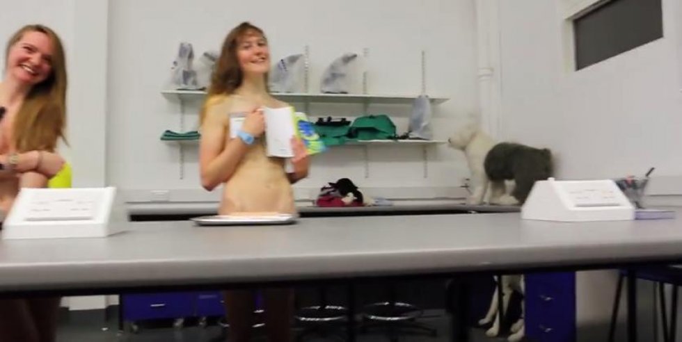 YouTube Screendump / Yirui Heng - Frække dyrlæge-studerende smider ALT tøjet for et godt formål