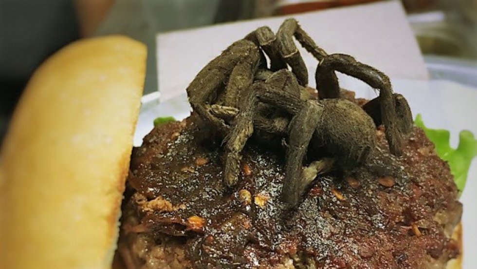 Burgerbar i North Carolina serverer burgere med friterede edderkopper