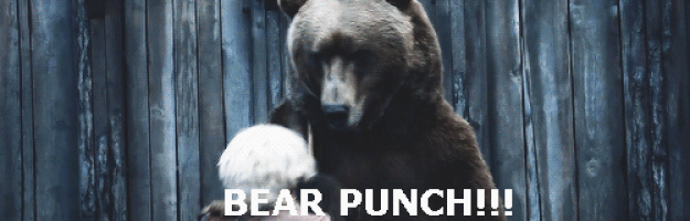 Mand går fullblown Chuck Norris på en bjørn for at beskytte sin hund