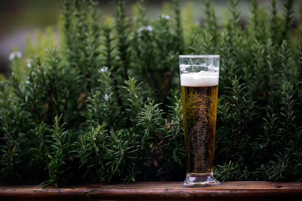 De 10 vildeste rekorder med øl