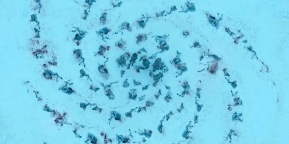 Game of Thrones-manuskriptforfatter forklarer, hvad The Night Kings spiralsymbol i virkeligheden betyder