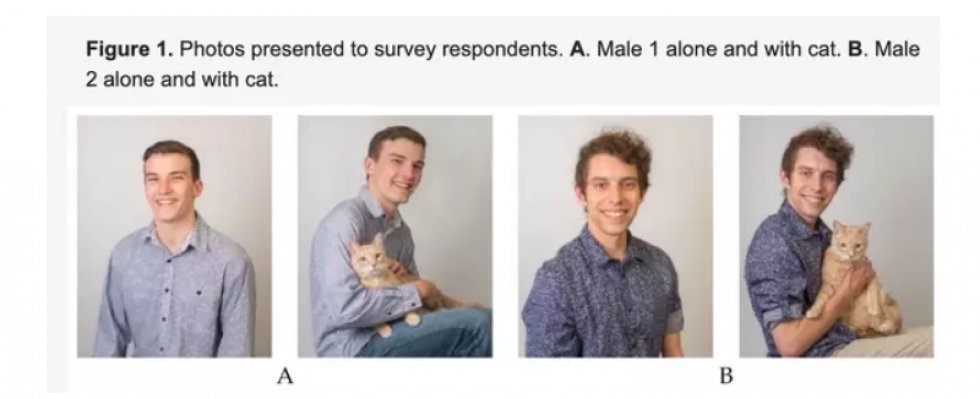 Undersøgelse: Kvinder finder mænd feminine, hvis de ejer en kat