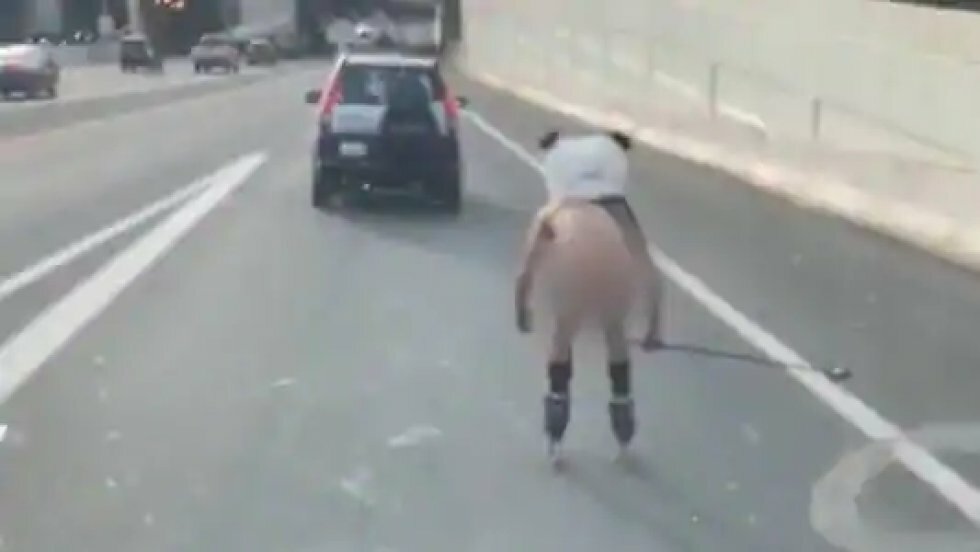 Nøgen mand iført pandamaske rullede på rulleskøjter langs motorvejen