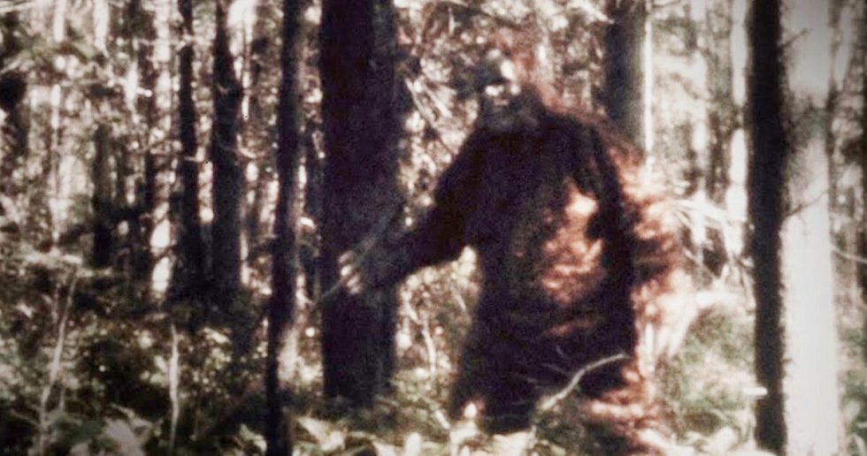 Ny krimiserie undersøger, hvorvidt Bigfoot i virkeligheden var en narko-seriemorder