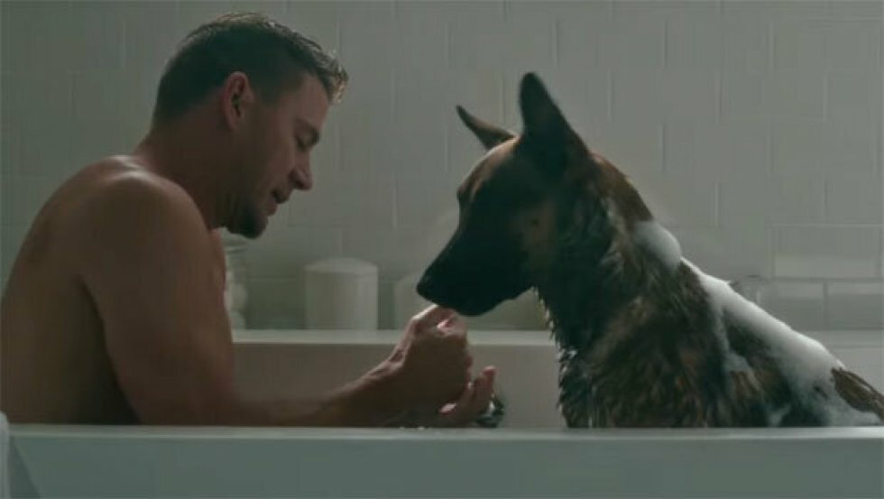 Channing Tatums instruktørdebut Dog er en roadtrip-film med en hund