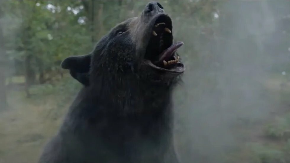 Bjørn på narko: Se første trailer til thrilleren Cocaine Bear