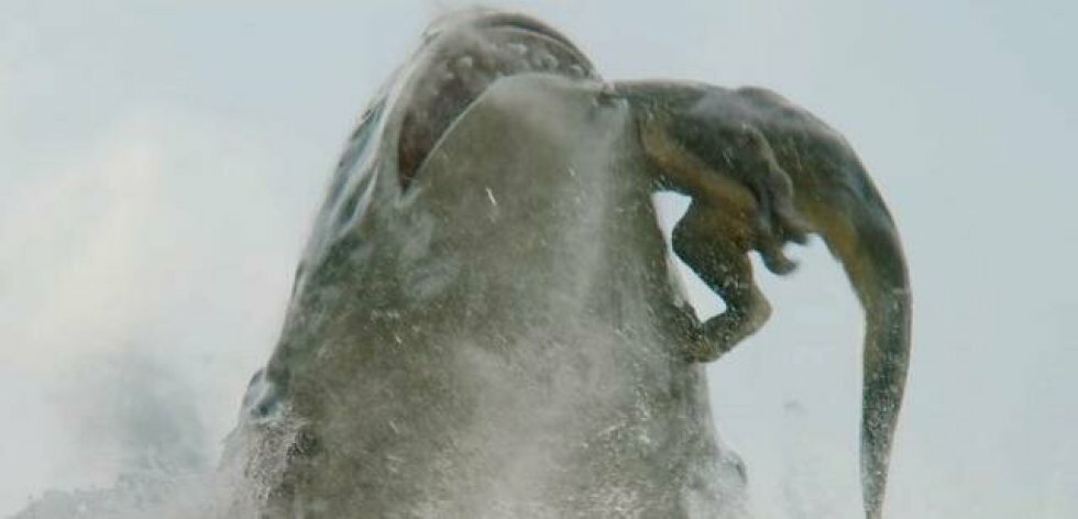 Kæmpehaj mod fortidsdinosaurer: Se første trailer til Meg 2