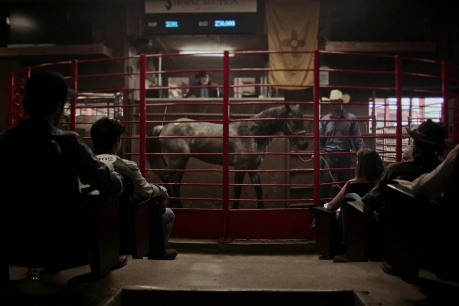 Cowboy Cartel fortæller historien om et af Mexicos mest brutale kartellers hvidvaskning i hestevæddeløb