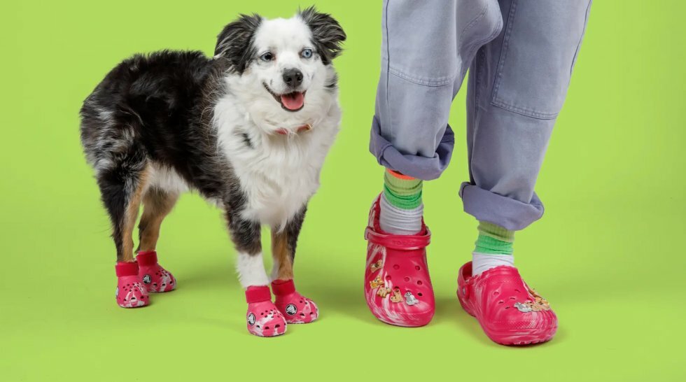 Nu kan dig og din hund få matchende Crocs