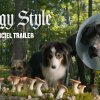 Doggy Style ? I biografen 24. august (dansk trailer 2) - Will Ferrell er en menneskehadende, talende hund i første trailer til Strays
