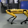 Hey Buddy, Can You Give Me a Hand? - Boston Dynamics' nye robot kan åbne døre - og nu er menneskeheden dødsdømt