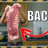 World?s Largest Bacon (2 FEET Long)! - Sådan steger du verdens største stykke bacon - hvem kunne klare sådan en krabat?