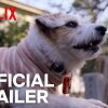 Dogs | Official Trailer [HD] | Netflix - Nyt for hundeelskere: Ny serie udelukkende om hunde rammer Netflix