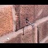 Bionic bee pulls nail out of a wall - BzzZZZzzzz: Verdens stærkeste bi trækker et SØM ud af en mur!