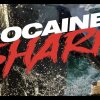 COCAINE SHARK  - Official Trailer - Narko-hajen er sluppet løs: Se første trailer til Cocaine Shark