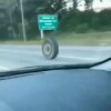 Loose truck tire rolls and bounces down New Jersey highway, smashes into Jeep | ABC7 - Løssluppet lastbildæk torpederer ind i Jeep på motorvejen