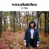Waxahatchee - Air (Official Audio) - 10 albums, du skal tjekke ud i april