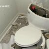 Lightning Strike Hits Florida Septic Tank Causing Toilet To Explode - Lyn slår ned i uheldig kvindes septitank og får hendes toilet til at eksplodere