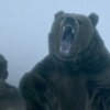 Vikings: Bjorn Picks a Fight with a Bear (Season 4) | History - 10 Vikings-karakterer og deres modstykke i virkeligheden