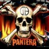Pantera Strength Beyond Strength - 8 musiknumre du IKKE må spille under sex!