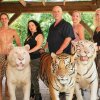 Tiger Kingdom: More Than A King | Official Trailer - "Tiger King 2"-trailer: Doc Antle går i krig mod Carole Baskin med sin egen doku-serie