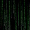 1 Hour Matrix Rain Code - Den grønne kode i starten af The Matrix er i virkeligheden en opskrift på sushi