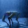 Spot Launch - Nu kan du købe Boston Dynamics-robothunden og starte Skynet