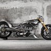 11 onde custom-bikes