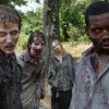 The Walking Dead - Den synkroniserede udgave
