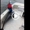 Delfin hopper op i fiskerbåd