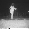 Politiet ville filme puma - men de fangede noget helt andet på deres kamera