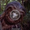 Kom i Star Wars-julestemning: Chewbacca synger glade jul