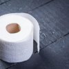 Japansk designer har skabt en toiletrulleholder, du ikke vidste, du manglede