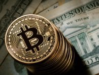 Overraskende sammenhæng mellem Bitcoin-søgninger og Bitcoin-kursen